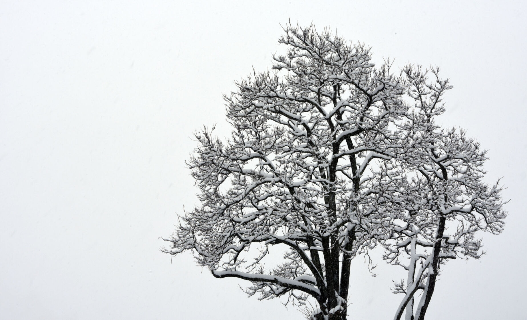 Winter Weather